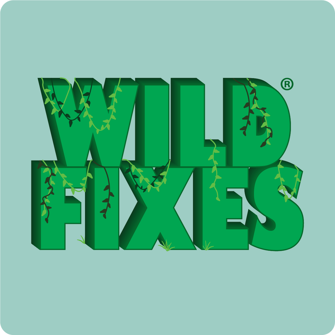 Wild Fixes logo