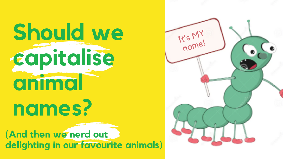 Should we capitalise animal names?