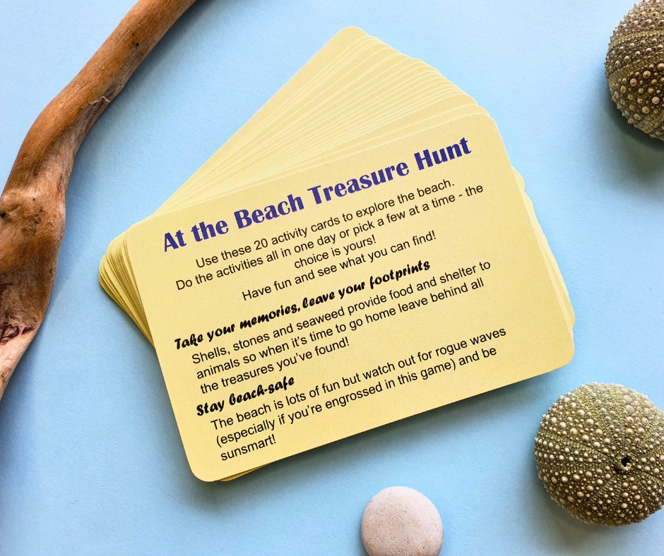At the Beach Treasure Hunt | Nature Fun Card Games 2