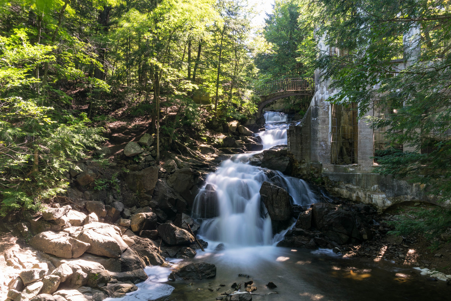 A photo of a waterfall running through the forest.