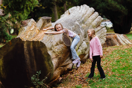 Five ways Nature Fun Card Games sneak science into kids’ play
