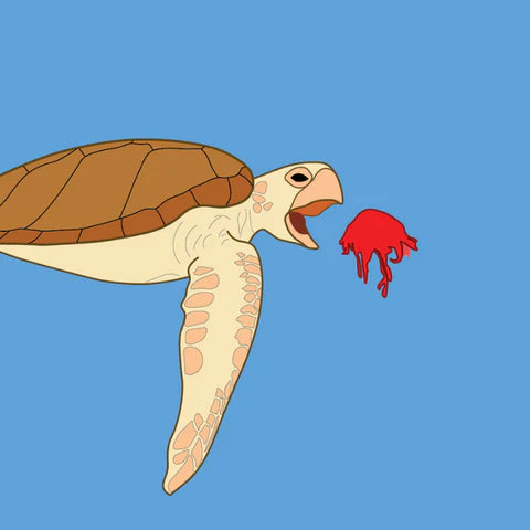A cartoon of a green sea turtle about to eat a broken red balloon.