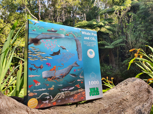 All about Whale Poo and CO2!