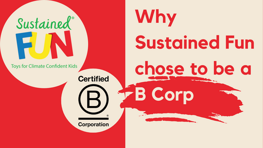 Why Sustained Fun chose to be a B Corp
