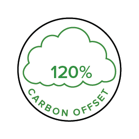 A green carton cloud icon with words 