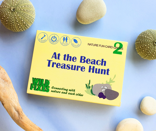 At the Beach Treasure Hunt | Nature Fun Card Games 2