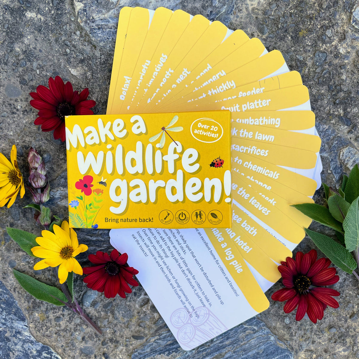 Make a Wildlife Garden