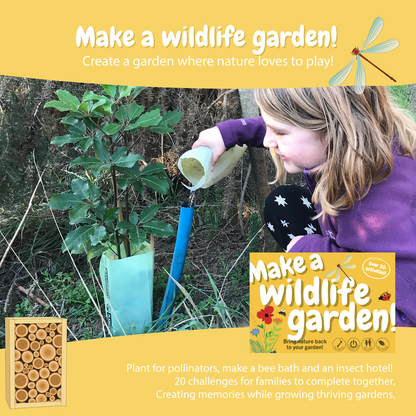 Make a Wildlife Garden