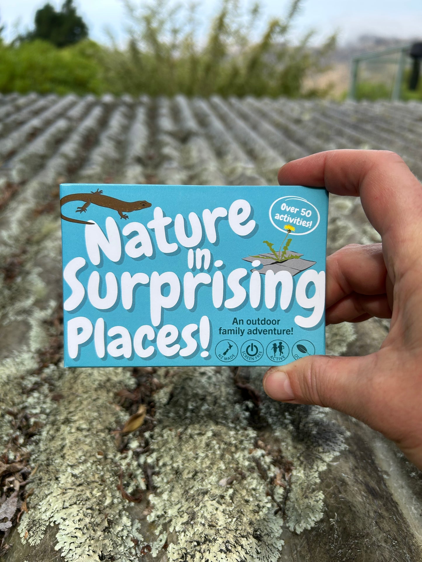 Nature in Surprising Places!