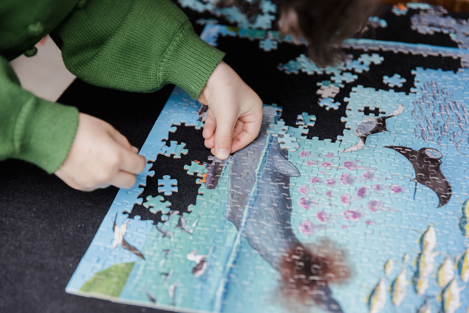The hands of a 6 year old girl putting puzzle pieces into a jigsaw puzzle. The puzzle is "Whale Poo and CO2" and shows a picture of a whale pooing.