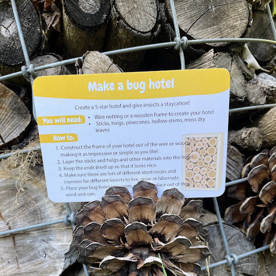 Make a Wildlife Garden