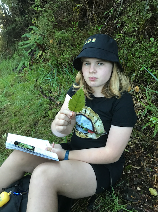 An 11 year old girl sitting on a path in the forest. She is looking serious and holding a leaf up the camera in one hand while she is holding a tree identification book in the other hand.