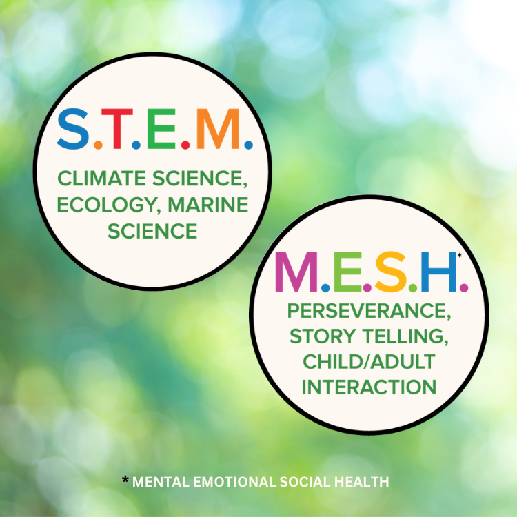 Logos of S.T.E.M.: Climate Science, Ecology, Marine Science and M.E.S.H. Perseverance, Story telling, Child/adult interaction. Footnote says "Mental Emotional Social Health"