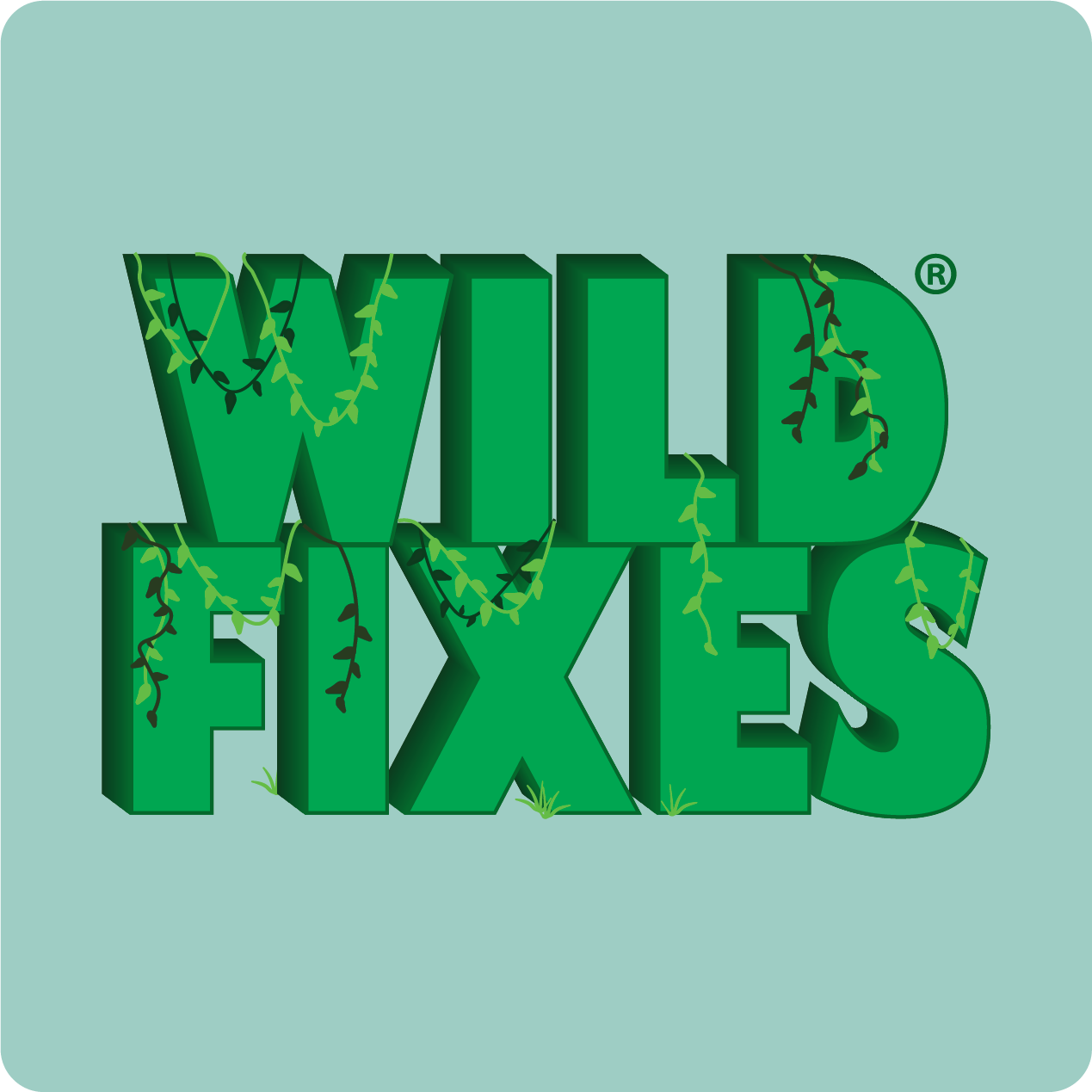 Logo of Wild Fixes.